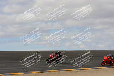 media/Feb-24-2023-Apex Assassins (Fri) [[1dfdb28110]]/Trackday 2/Session 2 (Bowl)/